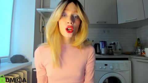Snapshot of _alice_kitty chatting on December 22, 8:27 am Gaylord online show from December 22, 8:27 am