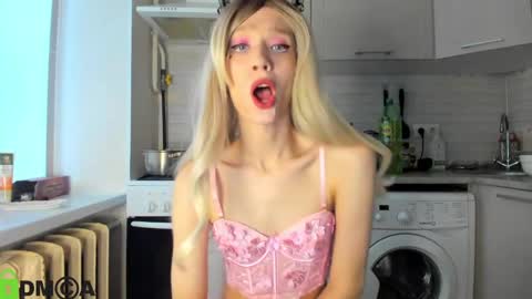Snapshot of _alice_kitty chatting on January 28, 8:57 am Gaylord online show from January 28, 8:57 am