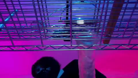 Natasha Diavolo online show from December 25, 11:22 am