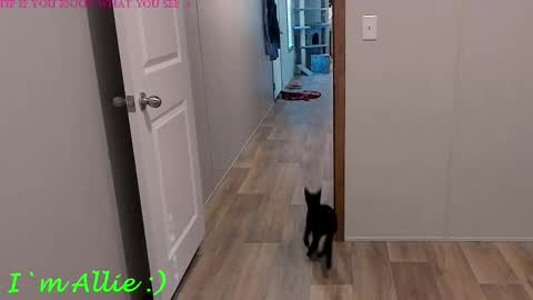 Allie online show from November 28, 3:46 pm