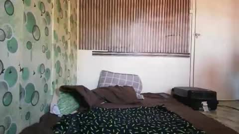 Sofia online show from November 7, 2:55 am