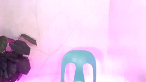   AMANDA  online show from July 5, 4:19 am