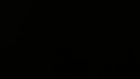 cata_n_cami online show from December 3, 3:04 am