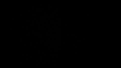 cata_n_cami online show from December 21, 10:08 pm