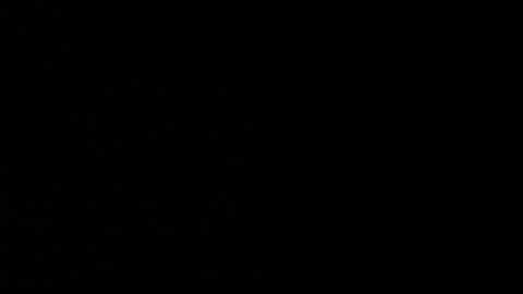 cata_n_cami online show from February 3, 6:02 am