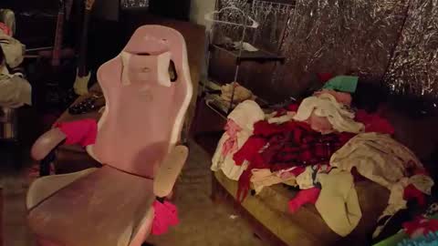 Charli online show from February 23, 11:30 pm