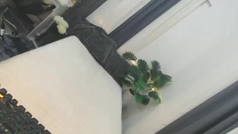 Jane online show from March 25, 3:28 pm