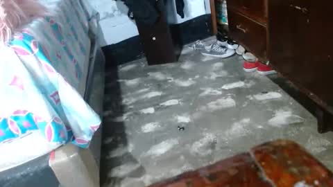 dreamreal online show from December 5, 10:43 am