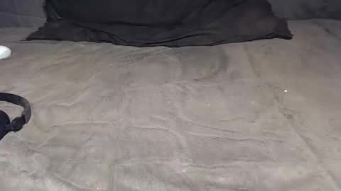 elgsslt online show from April 2, 1:42 pm