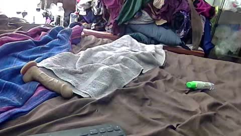 felicitybliss29 online show from September 13, 7:14 am