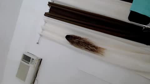 Jasmine online show from October 23, 1:20 am