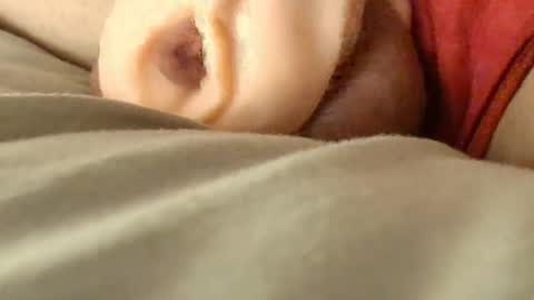 Meadow online show from April 3, 10:02 am