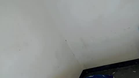 don online show from March 21, 12:54 pm