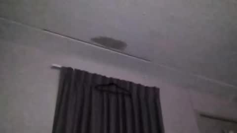 Gina T999 online show from January 8, 7:01 am