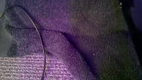 hardkoregigi online show from March 1, 5:31 am