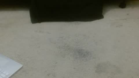 Holly Hawkes online show from November 14, 12:51 am