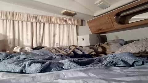 HotAmyMike online show from November 11, 2:41 pm