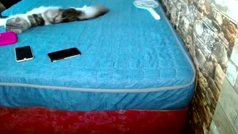 Princess Jazmine online show from December 18, 4:53 am