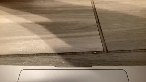 Jasmine online show from December 4, 5:56 am