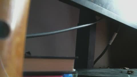 Snapshot of irisbell_ chatting on February 11, 2:13 pm Camilla online show from February 11, 2:13 pm