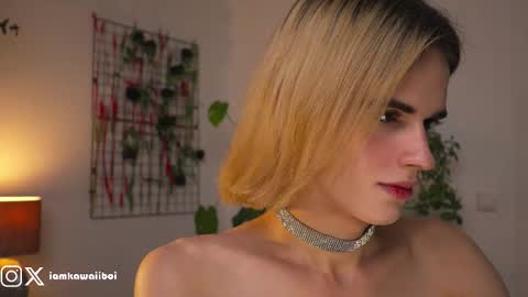 sasha online show from February 8, 11:45 pm