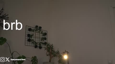 sasha online show from February 21, 1:55 am