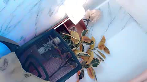 kettlyn18 online show from November 18, 5:51 am