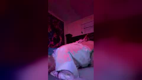 lilchastity online show from February 5, 9:14 am