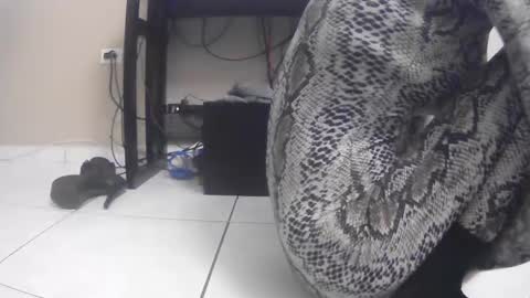 Lisa online show from February 2, 9:51 am