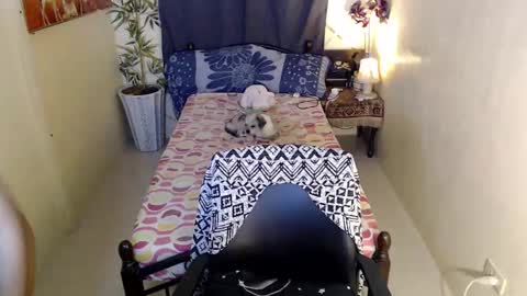 Pearl online show from February 25, 9:09 am