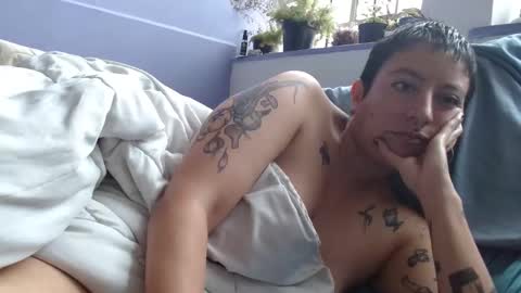 Poly online show from January 6, 4:23 pm