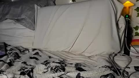 Rhys online show from January 27, 1:26 am