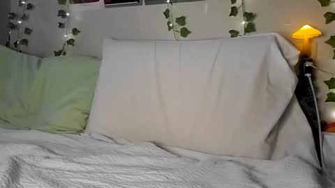 Rhys online show from February 11, 11:01 pm