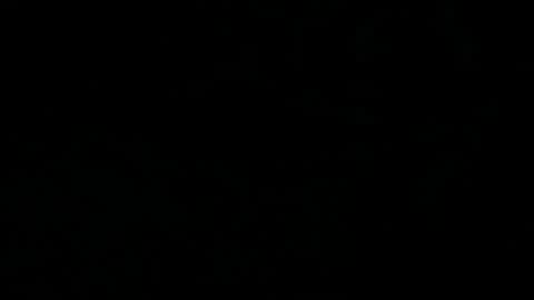 Ocean online show from November 22, 2:46 am