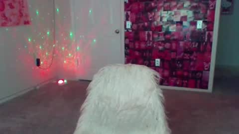 Snapshot of samanthaporsha chatting on December 27, 2:04 am samanthaporsha online show from December 27, 2:04 am