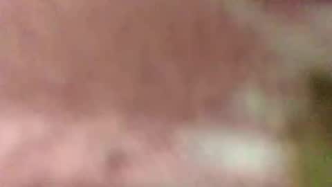 sex8509 online show from September 25, 3:35 am