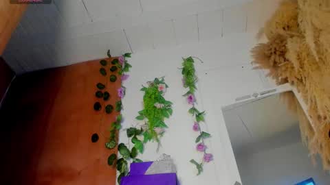 Adhara Horny online show from December 22, 9:30 pm