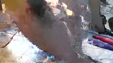 Miley online show from January 27, 12:54 am