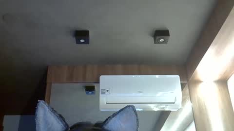 skinnykittencam online show from November 4, 8:35 am