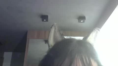 skinnykittencam online show from February 11, 7:38 am