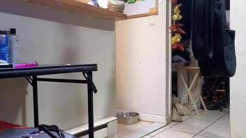 Submissive Slut LOVES adoration online show from November 20, 3:18 am