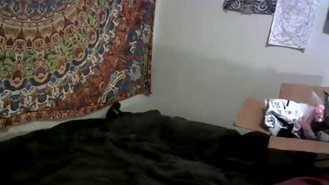 sweetie kinkie online show from November 4, 10:53 pm