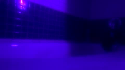 Stephcd4utouse online show from December 8, 5:39 am