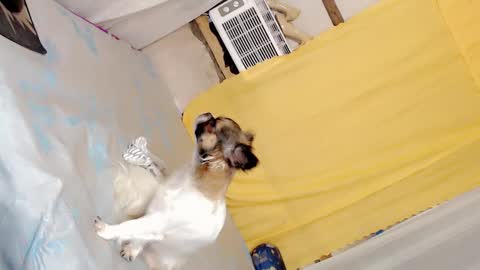 tsakinaluv2cumxxx online show from January 24, 5:10 am