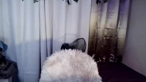 tyladine online show from November 29, 1:02 pm