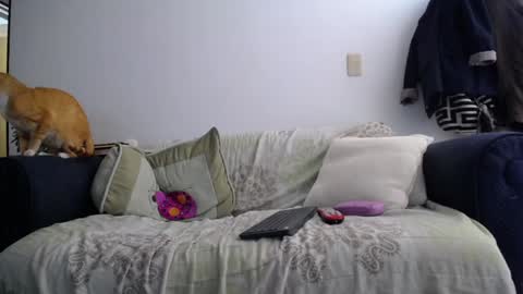 Snapshot of violetagomez_co chatting on February 7, 1:22 pm Violeta Gmez online show from February 7, 1:22 pm