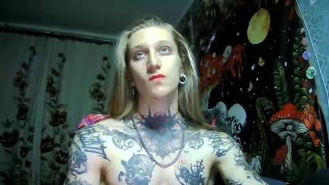 Elf online show from November 14, 2:25 pm