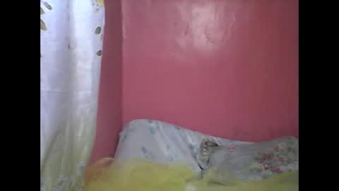 Snapshot of wild_sunflower11 chatting on December 25, 3:40 am wild_sunflower11 online show from December 25, 3:40 am