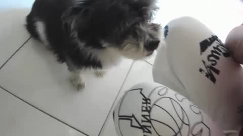 xdreamangel online show from March 6, 2:36 am