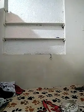 Cameron puppy online show from April 15, 7:19 pm